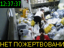 12:37:37