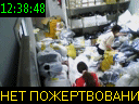 12:38:48