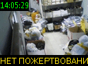 14:05:29