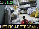 15:31:29