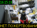 16:15:19