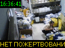 16:36:41