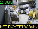 16:50:08