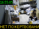 16:55:05