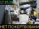 17:15:29