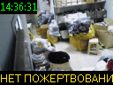 14:36:31