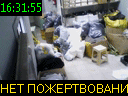 16:31:55