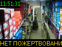 11:51:31