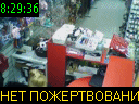 08:29:36