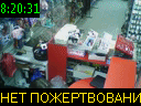 08:20:31