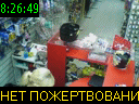 08:26:49