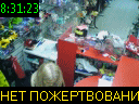 08:31:23
