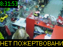 08:31:53