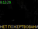 08:12:29