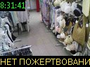 08:31:41