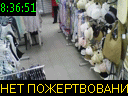 08:36:51