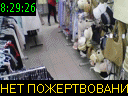 08:29:26