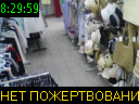 08:29:59