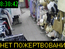 08:30:42