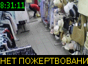 08:31:11