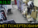 08:31:32