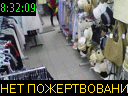 08:32:09