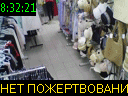 08:32:21