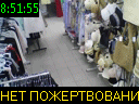 08:51:55