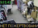 09:01:43