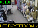 08:31:36