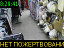 08:29:41