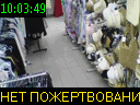 10:03:49