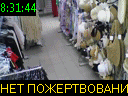 08:31:44
