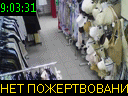 09:03:31