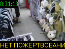 08:31:13