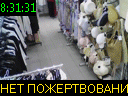 08:31:31