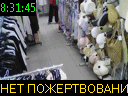 08:31:45