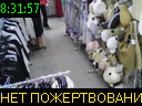 08:31:57
