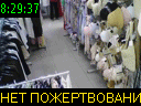 08:29:37