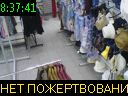 08:37:41