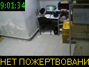 09:01:34