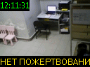 12:11:31
