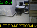 12:55:59