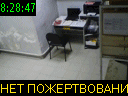 08:28:47