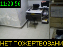 11:29:56