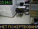 15:14:17