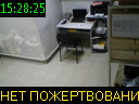 15:28:25