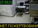 17:36:11
