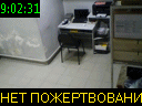 09:02:31