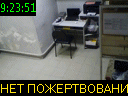 09:23:51